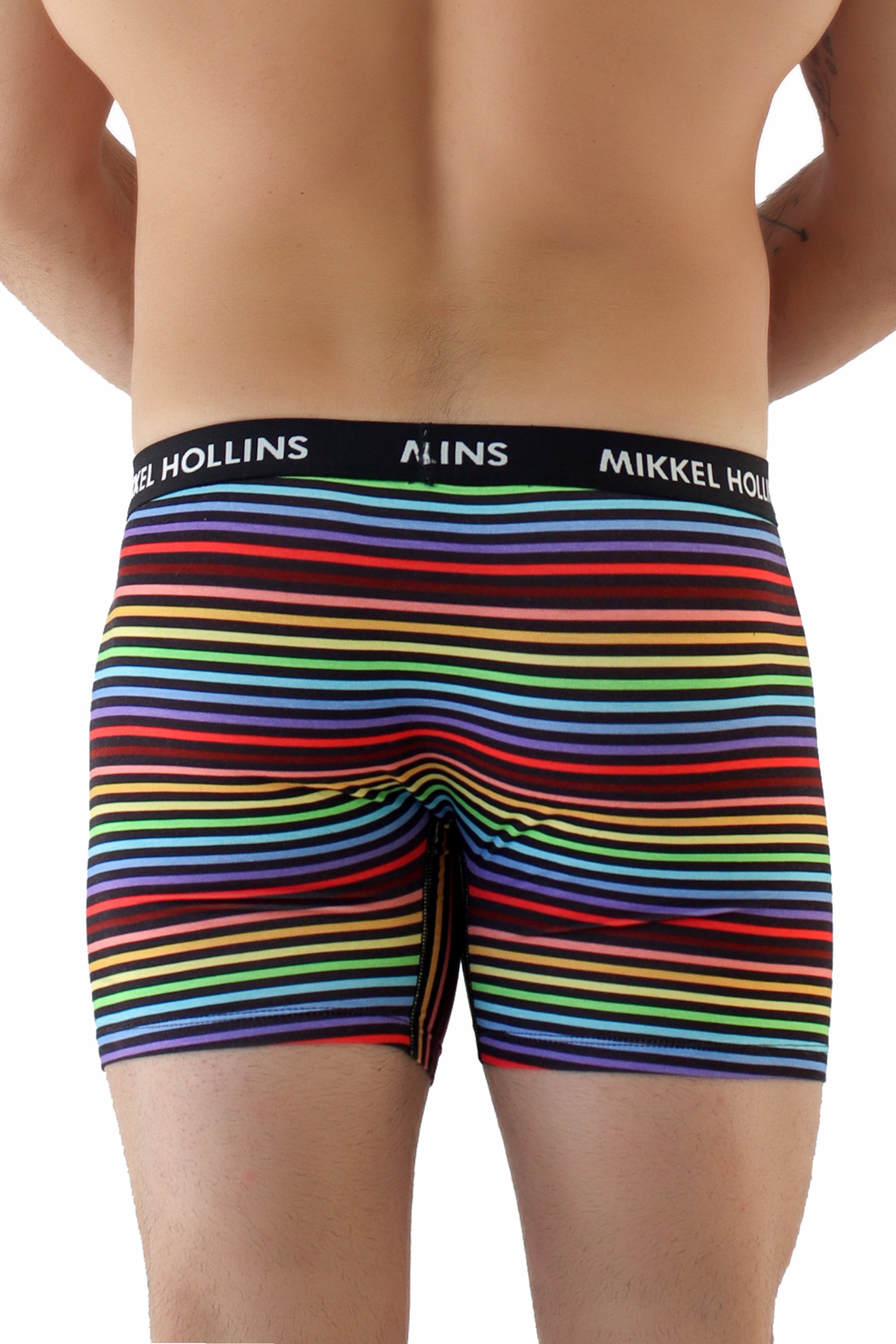Mens Boxer Brief With Fly - Pride Rainbow Stripes